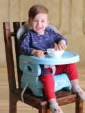 صندلی غذا پرتابل سوان
